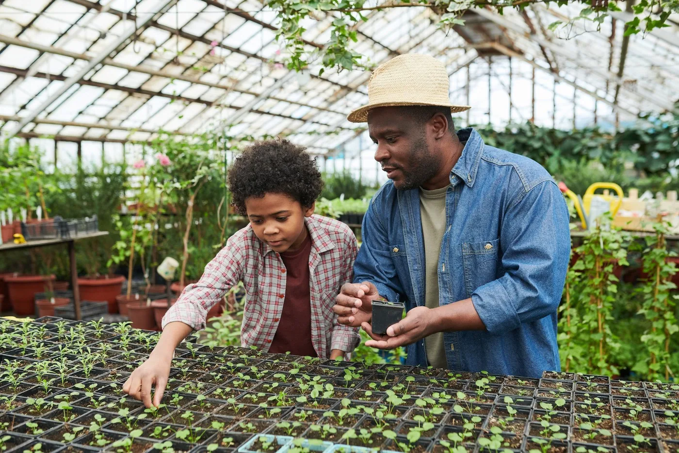 When The Student Becomes The Master: Growth Is Messy And Painful In The Middle